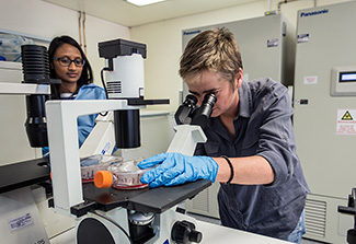 Dr. Penny Moore and her mentee Dr Jinal in research lab. Credit: Aga Szydlik/National Institute for Communicable Diseases.